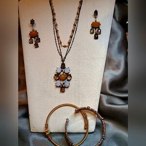 Elegant Gold and Brown Jewelry Set